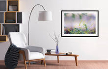 Load image into Gallery viewer, This fine art photographic print is taken near a lagoon (mulwala) in the Murray River region.