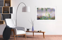 Load image into Gallery viewer, Close up photography in Murray river region.