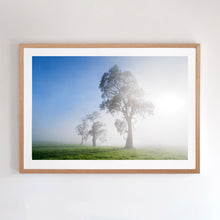 Load image into Gallery viewer, Three Trees