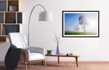 Load image into Gallery viewer, Three Trees