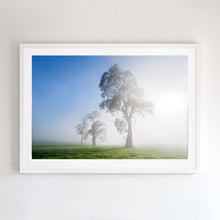 Load image into Gallery viewer, Three Trees