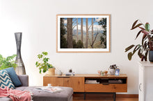 Load image into Gallery viewer, living space art