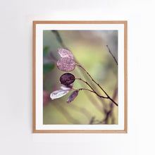 Load image into Gallery viewer, Photographic fine art print. Portrait orientation.