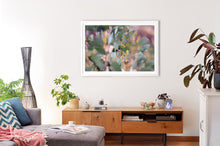 Load image into Gallery viewer, Fine art photograph of Australian Eucalyptus. Prints come with several frames options: oak, white and black.