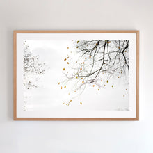 Load image into Gallery viewer, This fine art print comes with three frames options: Oak, white or black. Or choose the “unframed” option to mount in your own frame.