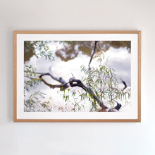 Load image into Gallery viewer, Photographic fine art print. Wall art of Murray River, with an Australian oak frame. Browse to find a frame and photo combination that compliments your living space.