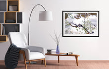 Load image into Gallery viewer, Photographic fine art. Wall art print of Murray River, with black frame. Browse to find a frame and photo combination to compliment your living space.