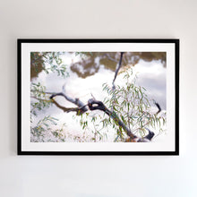 Load image into Gallery viewer, Photographic fine art print. Wall art of Murray River. Browse to find a frame and photo combination to compliment your living space.