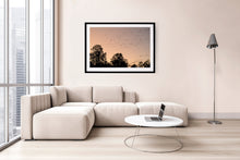 Load image into Gallery viewer, decor for you apartment. Fine art photographic print of cockatoos near the Murray River at sunset. black frame.