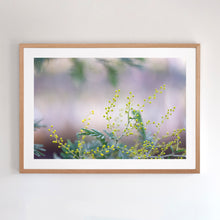 Load image into Gallery viewer, Fine art photographic print of a lagoon (mulwala) in Murray River region.