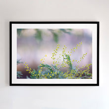 Load image into Gallery viewer, Black frame option. This fine art photographic print is taken around a lagoon (mulwala) in the Murray River region.