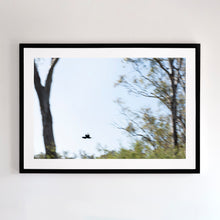 Load image into Gallery viewer, Fine art photograph of Murray region, NSW. Fine art print with black frame.