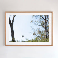 Load image into Gallery viewer, Fine art photograph of Murray region, NSW. Fine art print with raw Australian oak frame.