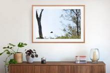 Load image into Gallery viewer, Photographic wall art (fine art print) of Murray region, NSW, with an Australian oak frame. Browse to find a frame and photo combination that suits your decor.