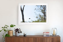 Load image into Gallery viewer, Photographic wall art (fine art print) of Murray region, NSW, with an Australian made, white frame. Browse to find a frame and photo combination that suits your decor.