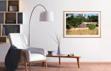 Load image into Gallery viewer, Photographic fine art print, depicting a rusty red Shed, near Yea, Victoria, with white frame. Browse to find a frame and photo combination that suits your decor.