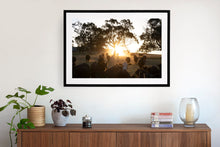 Load image into Gallery viewer, Photographic wall art, depicting cows at sunset with a black frame. Browse to find a frame and photo combination that suits your decor