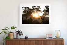 Load image into Gallery viewer, Photographic wall art, depicting cows at sunset with a white frame. Browse to find a frame and photo combination that suits your decor
