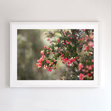 Load image into Gallery viewer, White framed, fine art photograph.