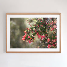 Load image into Gallery viewer, Oak framed, fine art photograph