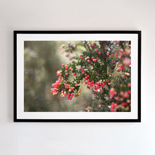 Load image into Gallery viewer, Black framed, fine art photograph.