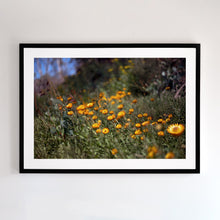 Load image into Gallery viewer, Photographic wall art, Mount Buller, Victoria, with a black frame. Browse to find a frame and photo combination that suits your decor.