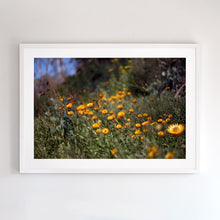 Load image into Gallery viewer, Photographic wall art, Mount Buller, with a white frame. Browse to find a frame and photo combination that suits your decor.
