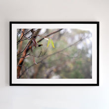 Load image into Gallery viewer, Aussie bush, Black framed fine art print