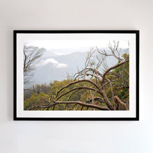 Load image into Gallery viewer, Fine art photo. Photographic wall art for you home. Framed in Black timber.