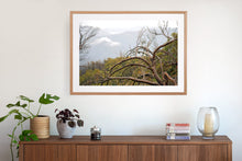 Load image into Gallery viewer, Fine art photography. Australian oak frame