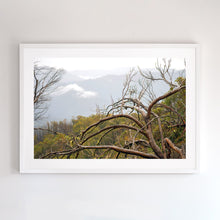 Load image into Gallery viewer, Photographic wall art for you home.