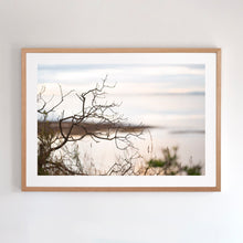 Load image into Gallery viewer, Photographic wall art, clifftop in San Remo, near Phillip Island Victoria, with an Australian oak frame. Browse to find a frame and photo combination that suits your decor.