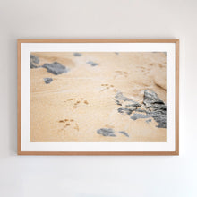 Load image into Gallery viewer, Photographic fine art print. Wall art depicting bird footprints at Cat Bay, Phillip Island, Victoria, with an Australian oak frame. Browse to find a frame and photo combination that compliments your living space.