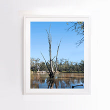 Load image into Gallery viewer, Portrait, vertical orientation. Photographic fine art print.