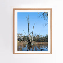 Load image into Gallery viewer, Portrait, vertical orientation. Photographic print of Murray River region, mounted in Australian oak.