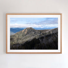 Load image into Gallery viewer, Photographic wall art of Little Buller. Framed in oak