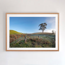 Load image into Gallery viewer, Early Green