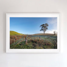 Load image into Gallery viewer, Early Green