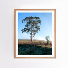 Load image into Gallery viewer, Lone Gum