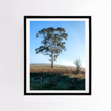 Load image into Gallery viewer, Lone Gum