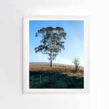 Load image into Gallery viewer, Lone Gum