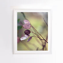 Load image into Gallery viewer, Photographic fine art print. Portrait orientation and white frame.
