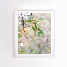 Load image into Gallery viewer, Photographic fine art print, Mount Buller, with a white frame. Browse to find a frame and photo combination that suits your decor. 

