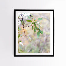 Load image into Gallery viewer, Photographic fine art, in Mount Buller, Victoria, with a black frame. Browse to find a frame and photo combination that suits your decor.
