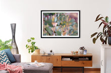 Load image into Gallery viewer, Fine art photograph of Australian Eucalyptus. Prints come with several frames options: oak, white and black. 
