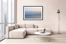 Load image into Gallery viewer, Photographic fine art, of a lone seabird flying inland at dusk,  Phillip Island, Victoria, with a black frame. Browse to find a frame and photo combination that suits your decor.
