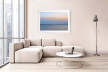Load image into Gallery viewer, Photographic fine art print of a lone seabird flying inland at dusk,  Phillip Island, Victoria, with white frame. Browse to find a frame and photo combination that suits your decor. 
