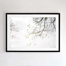 Load image into Gallery viewer, This fine art print comes with three frames options: Oak, white or black. Or choose the “unframed” option to mount in your own frame.
