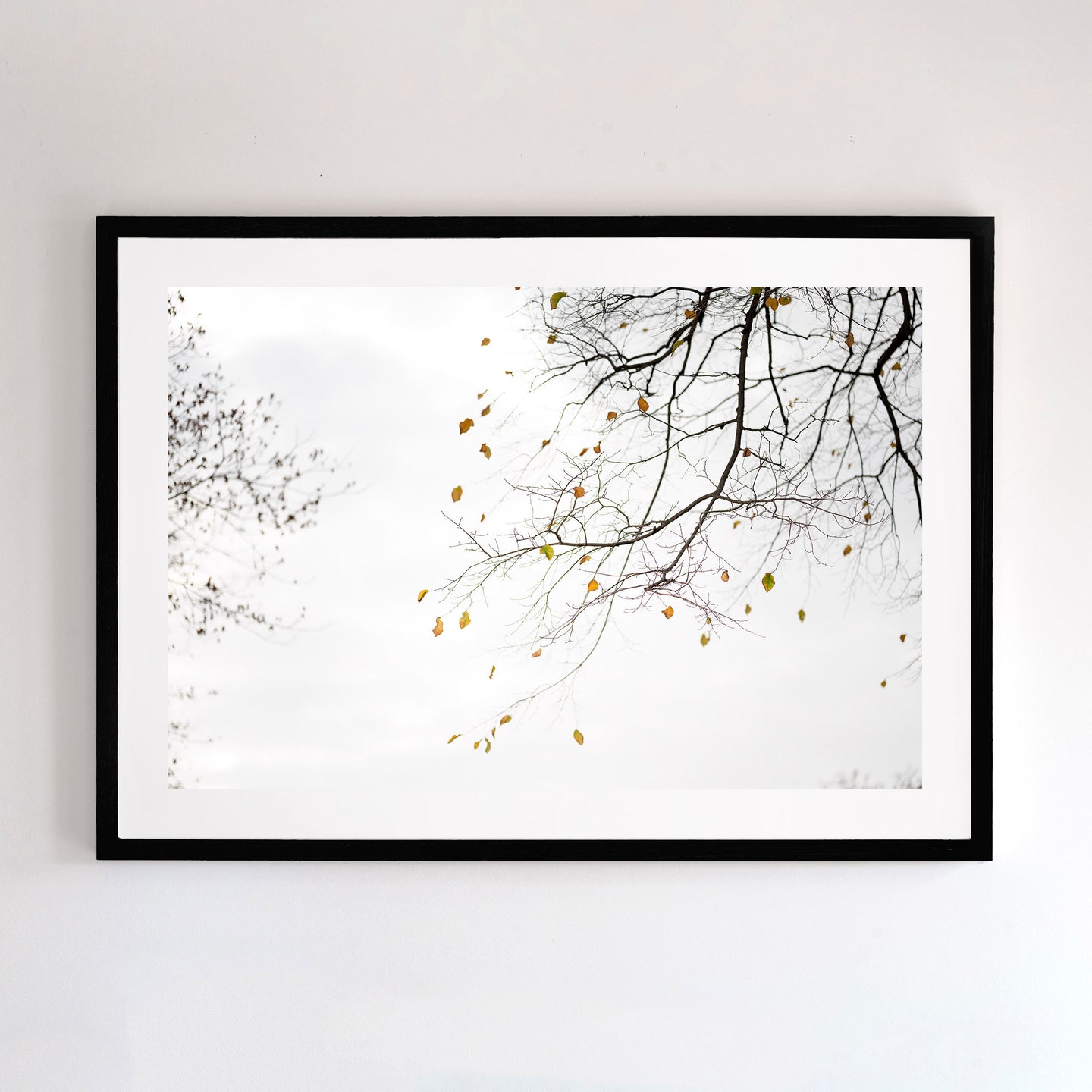 This fine art print comes with three frames options: Oak, white or black. Or choose the “unframed” option to mount in your own frame.