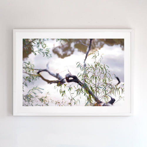 Photographic fine art print. Wall art  of Murray River. Browse to find a frame and photo combination that compliments your living space. 